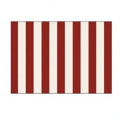 Style Selections Canada Day Red and White Rectangular Outdoor Play Mat 3-ft x 5-ft
